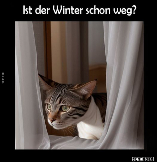 Ist der Winter schon weg?.. - Lustige Bilder | DEBESTE.de