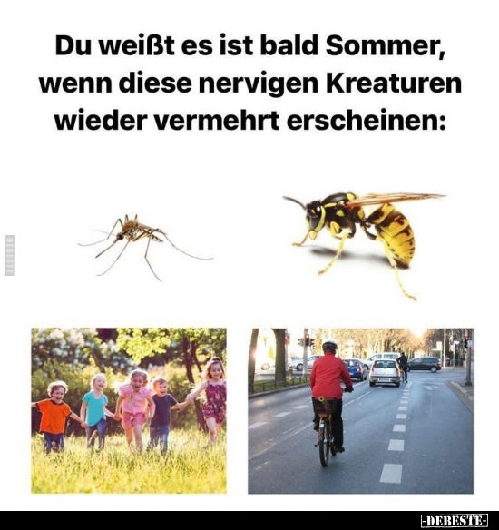 Du weißt es ist bald Sommer, wenn diese nervigen Kreaturen.. - Lustige Bilder | DEBESTE.de