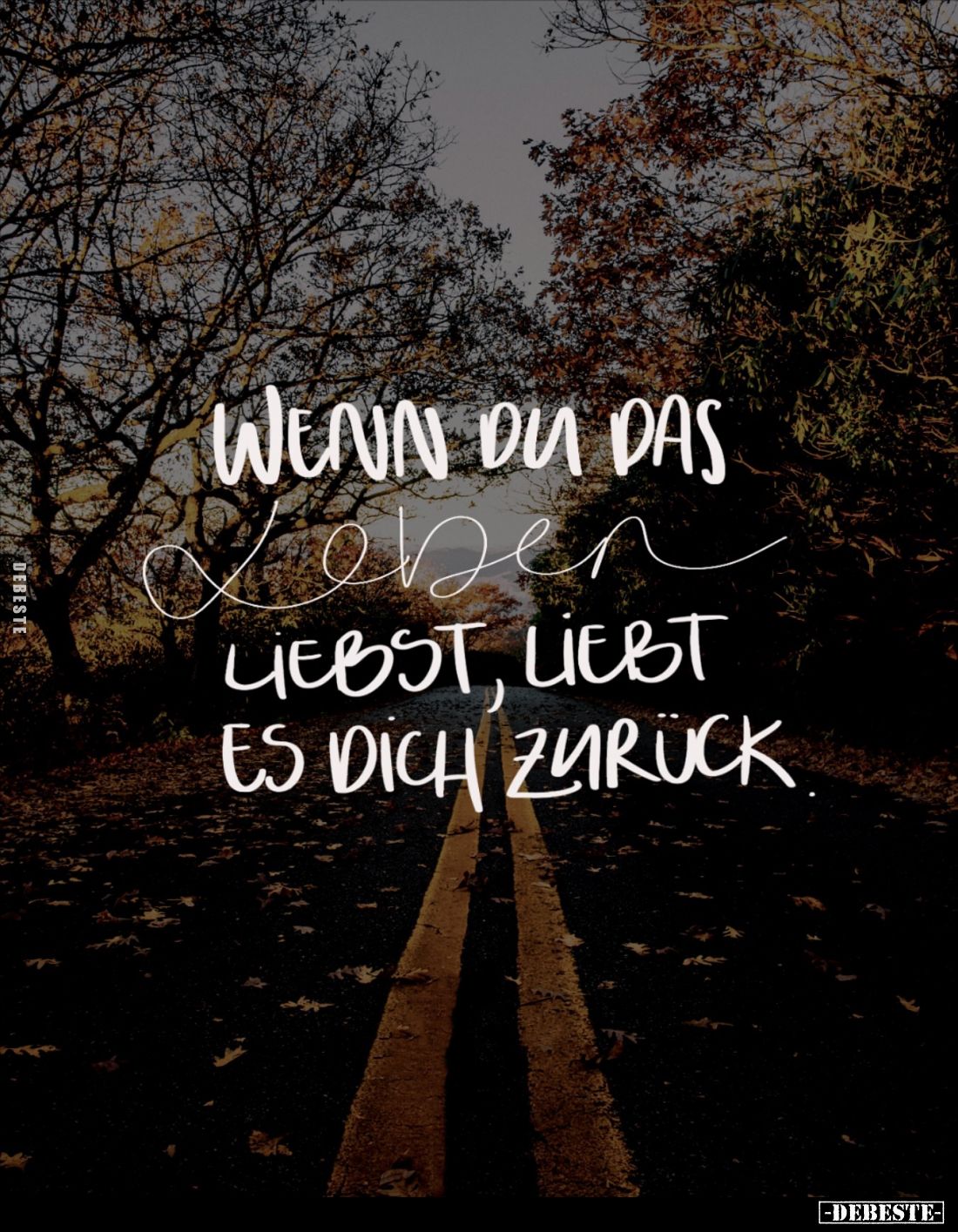 Wenn du das Leben liebst, liebt es dich zurück.