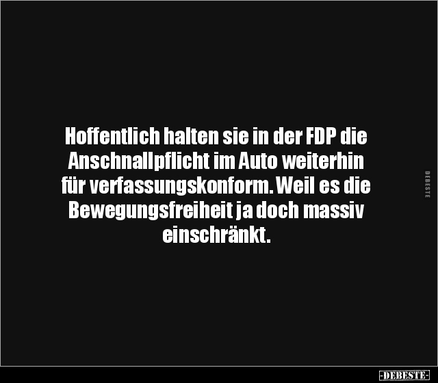 Hoffentlich halten sie in der FDP die Anschnallpflicht im.. - Lustige Bilder | DEBESTE.de