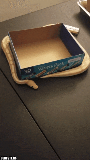 Die Technik Thaddäus..