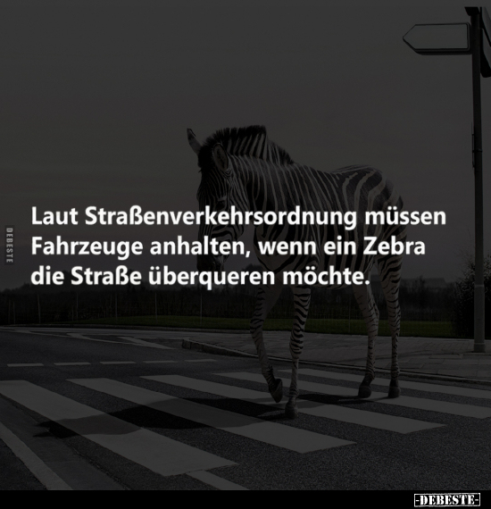 Laut Straßenverkehrsordnung müssen Fahrzeuge anhalten.. - Lustige Bilder | DEBESTE.de