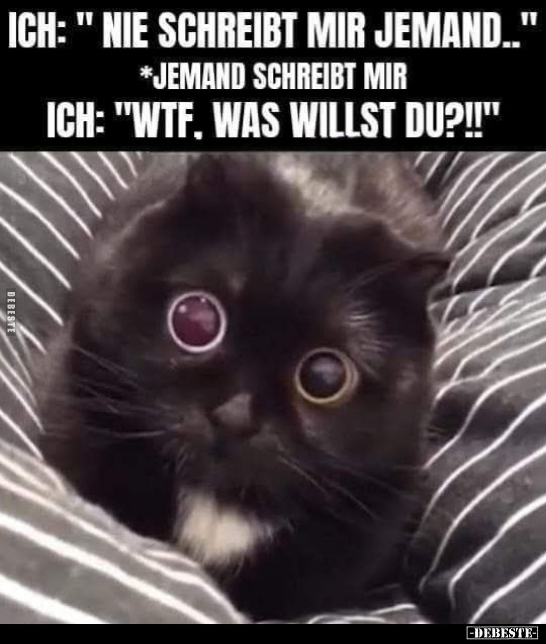 Ich: " Nie schreibt mir jemand.." -
*Jemand schreibt mir. -
Ich: "Wtf, was willst du?!!"