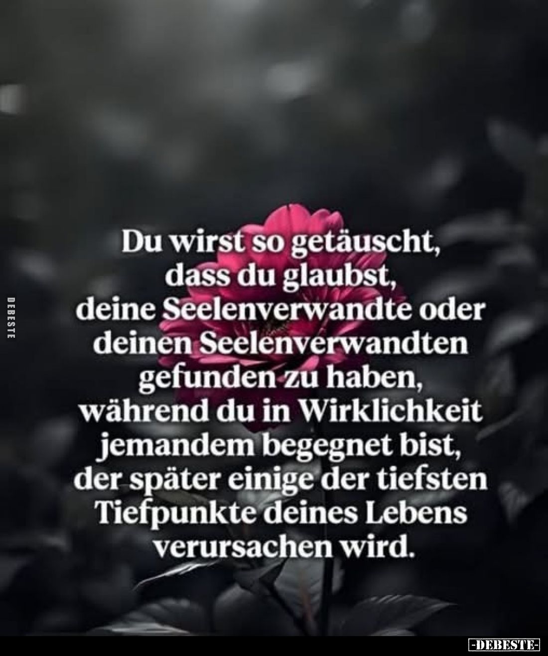 Du wirst so getäuscht, dass du glaubst, deine Seelenverwandte oder deinen Seelenverwandten gefunden zu haben, während du in W...