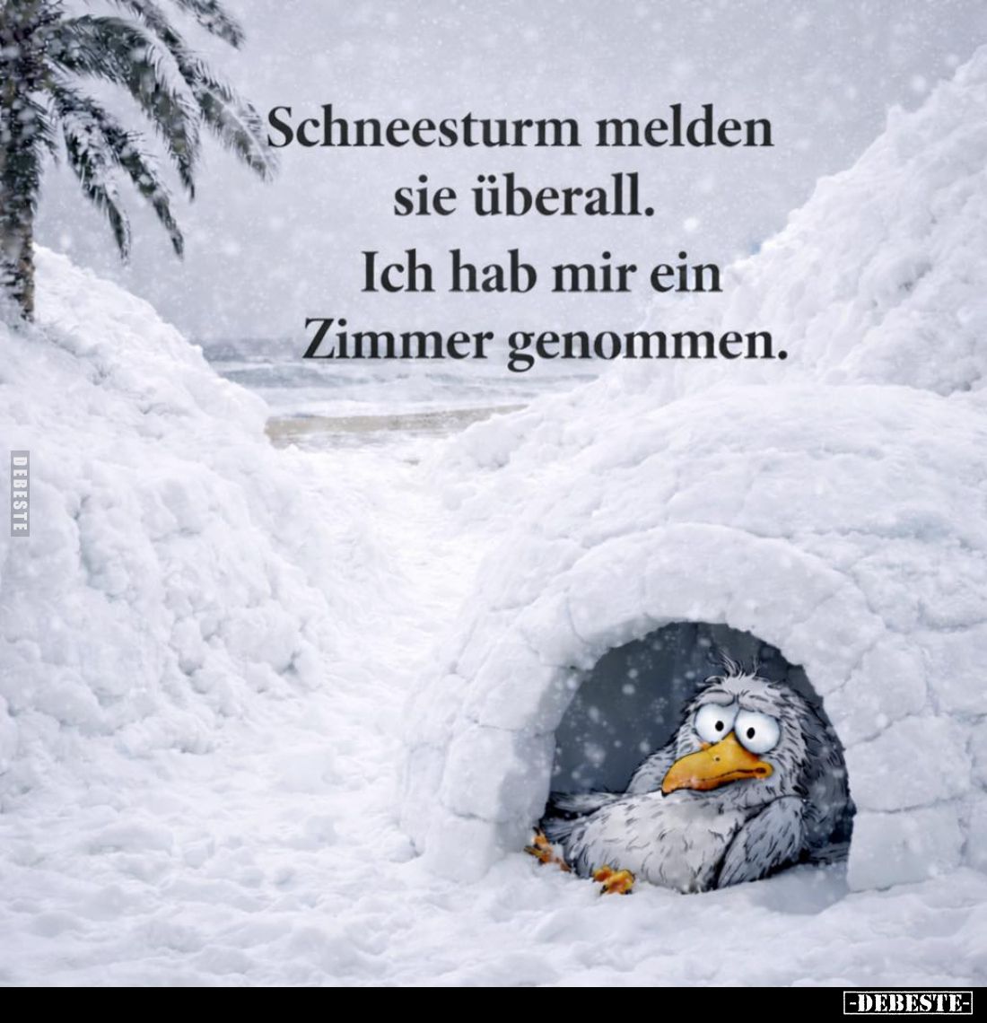 Schneesturm melden sie überall.
Ich hab mir ein Zimmer genommen.