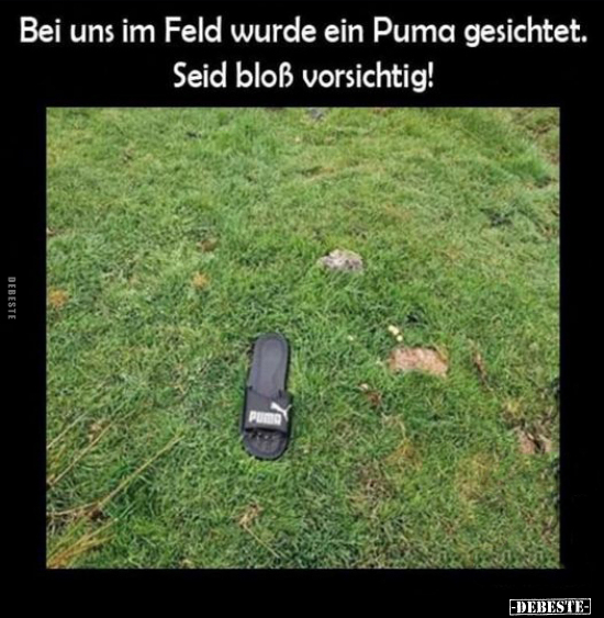 Bei uns im Feld wurde ein Puma gesichtet.. - Lustige Bilder | DEBESTE.de