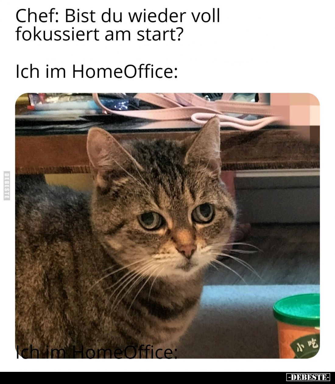 Chef: Bist du wieder voll fokussiert am start? 
-
Ich im HomeOffice: