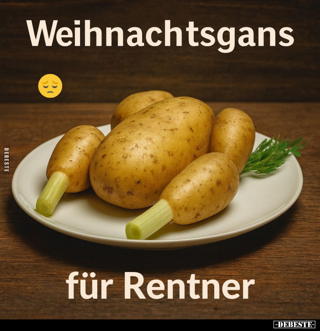 Weihnachtsgans
für Rentner.