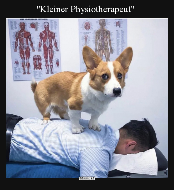 "Kleiner Physiotherapeut".. - Lustige Bilder | DEBESTE.de