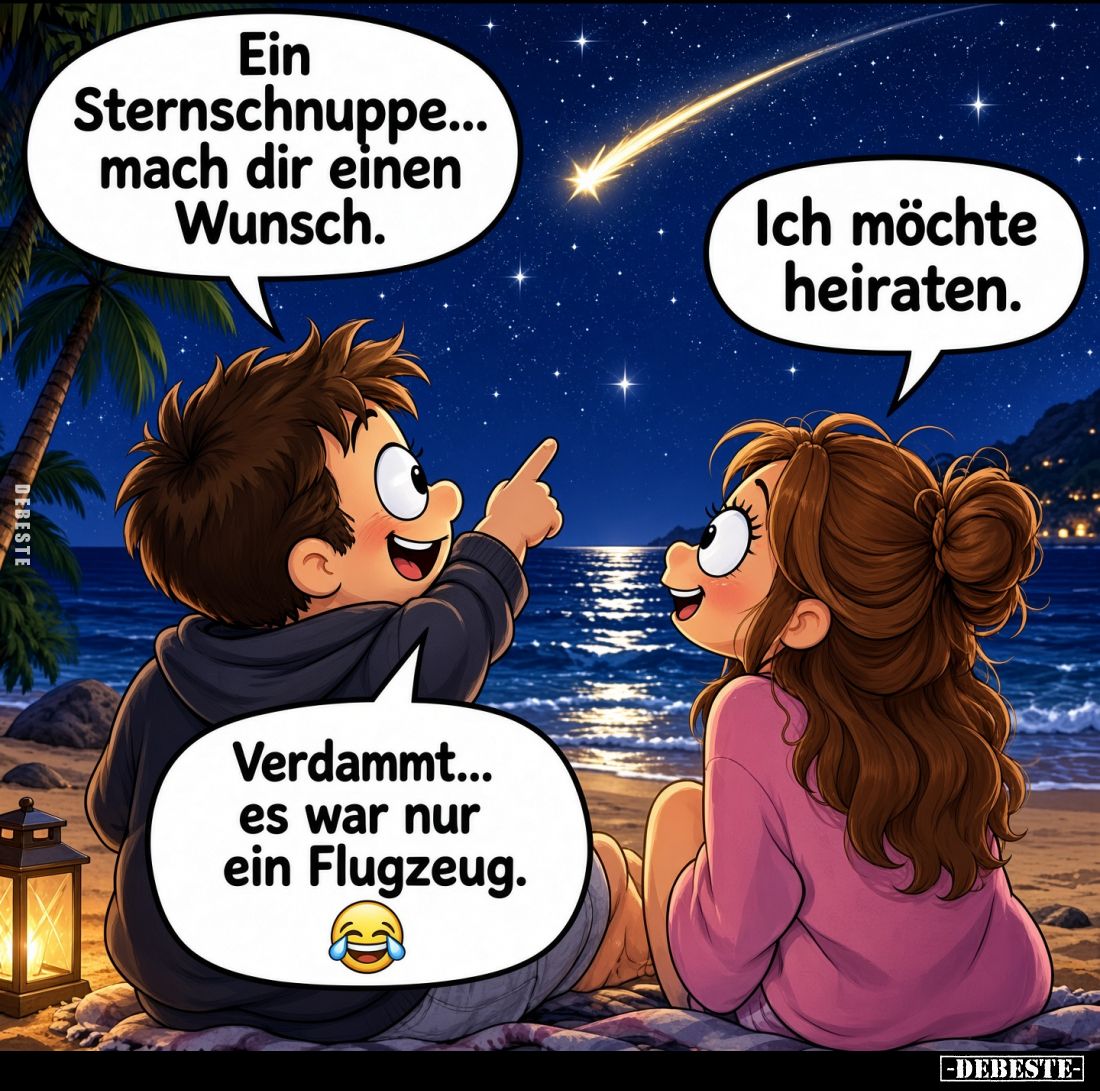 Ein Sternschnuppe... mach dir einen Wunsch. -
Ich möchte heiraten. -
Verdammt... es war nur ein Flugzeug.