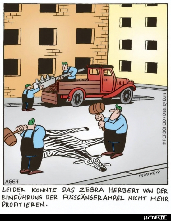 Leider konnte das Zebra Herbert von der Einführung der.. - Lustige Bilder | DEBESTE.de