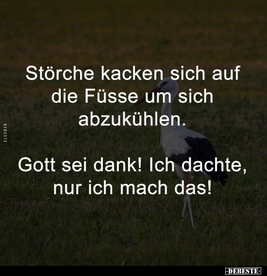 Störche, Gott, Gott Sei Dank