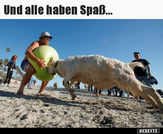 Und alle haben Spaß...