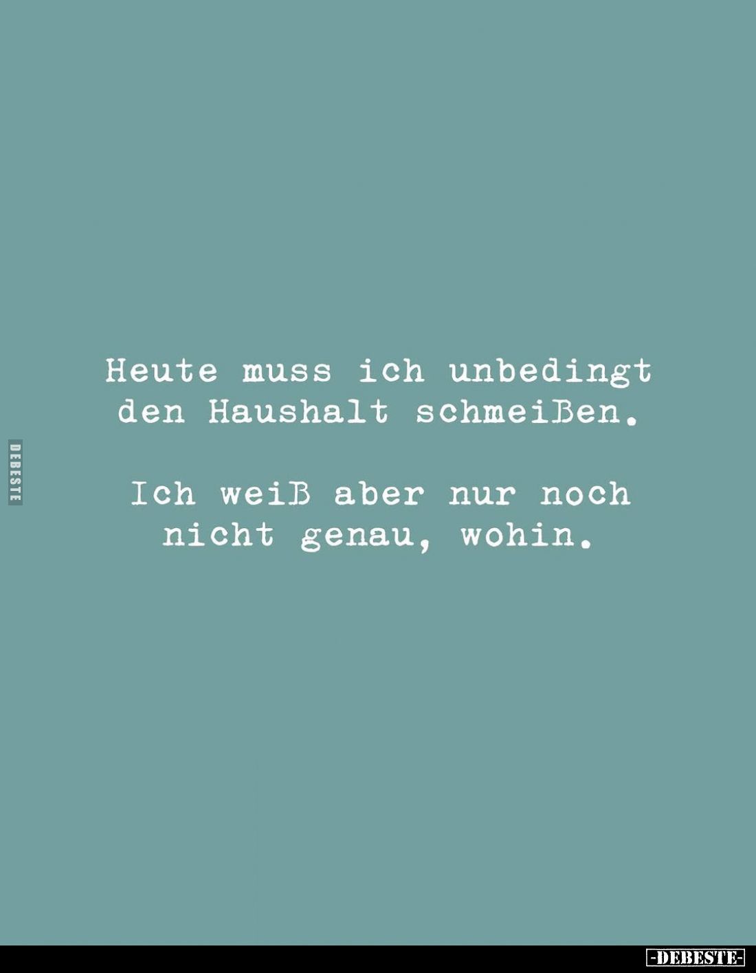 Heute muss ich unbedingt den Haushalt schmeißen. Ich weiß.. - Lustige Bilder | DEBESTE.de