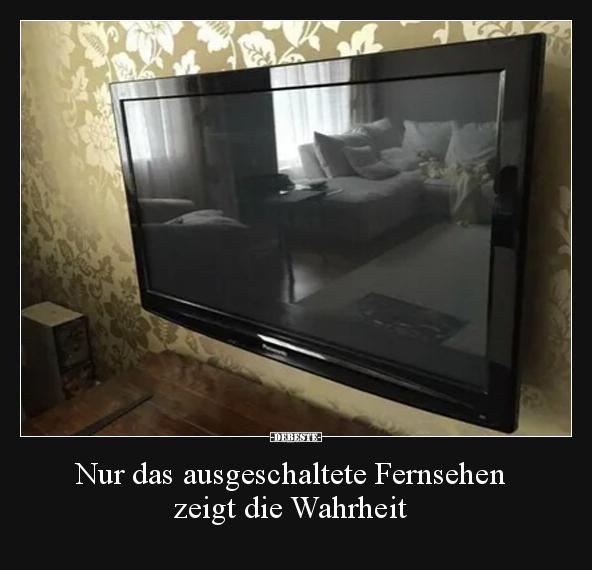 Nur das ausgeschaltete Fernsehen zeigt die Wahrheit.. - Lustige Bilder | DEBESTE.de