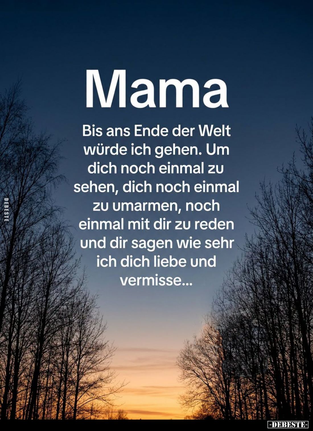 Mama.
Bis ans Ende der Welt würde ich gehen. Um dich noch einmal zu sehen, dich noch einmal zu umarmen, noch einmal mit dir ...