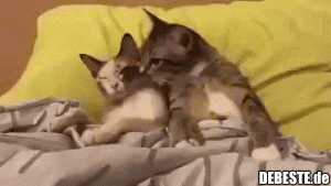 Haha.. Wie im Leben..