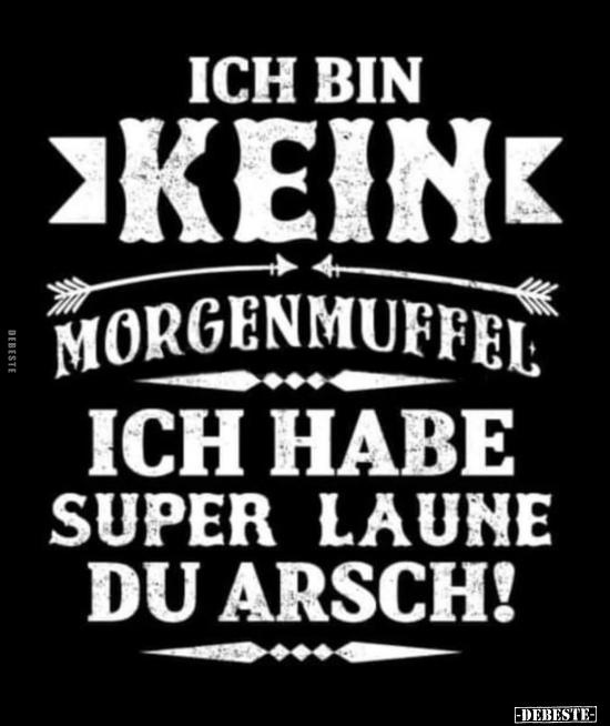 Ich bin kein Morgenmuffel ich habe super Laune du Arsch!.. - Lustige Bilder | DEBESTE.de