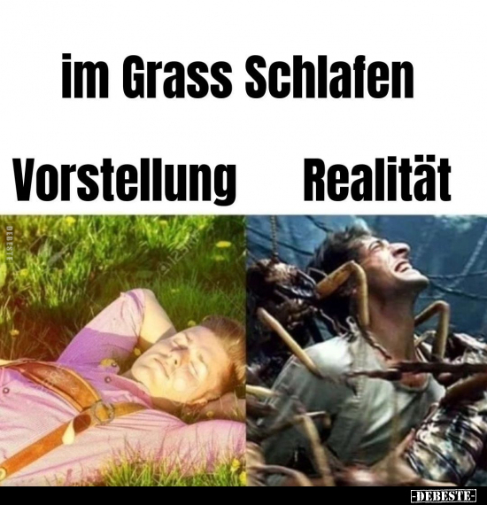 Im Grass Schlafen... - Lustige Bilder | DEBESTE.de