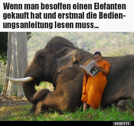 Wenn man besoffen einen Elefanten gekauft hat und erstmal.. - Lustige Bilder | DEBESTE.de