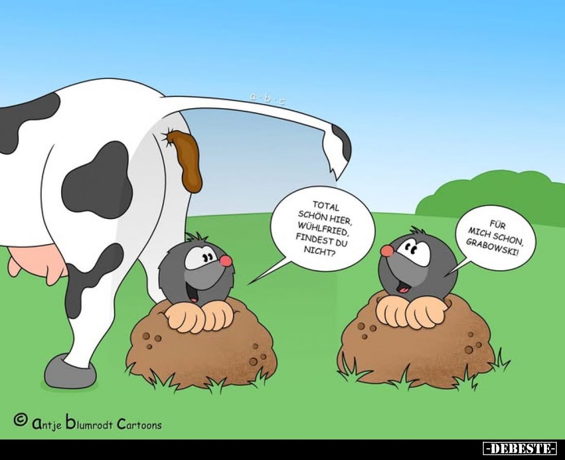 Total schön hier, Wühlfried. Findest du nicht?.. - Lustige Bilder | DEBESTE.de