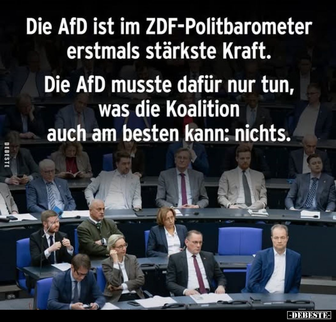 Die AfD ist im ZDF-Politbarometer erstmals stärkste Kraft.. - Lustige Bilder | DEBESTE.de