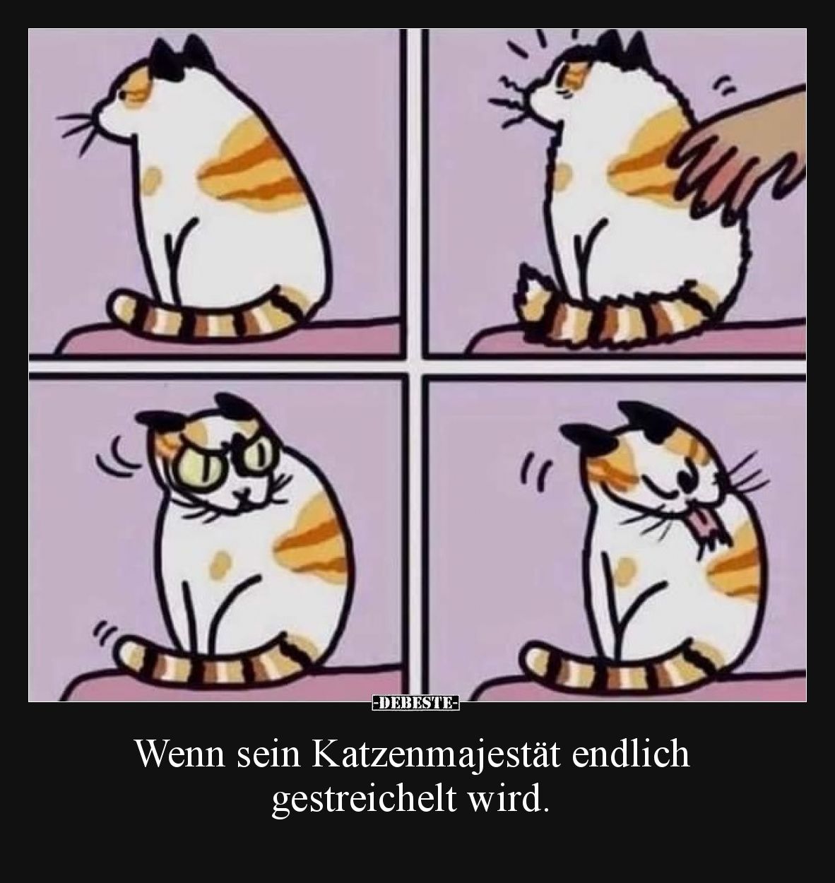 Wenn sein Katzenmajestät endlich gestreichelt wird.