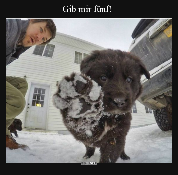 Gib mir fünf!.. - Lustige Bilder | DEBESTE.de