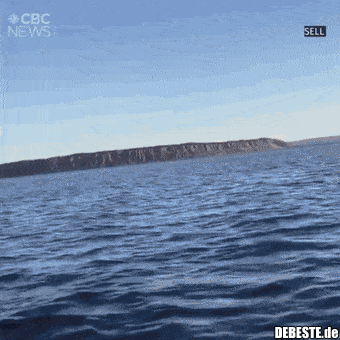  - Lustige Bilder | DEBESTE.de