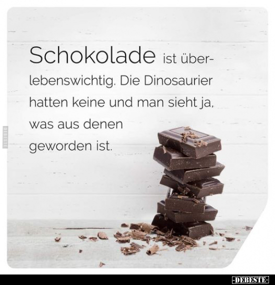 Schokolade ist überlebenswichtig.. - Lustige Bilder | DEBESTE.de
