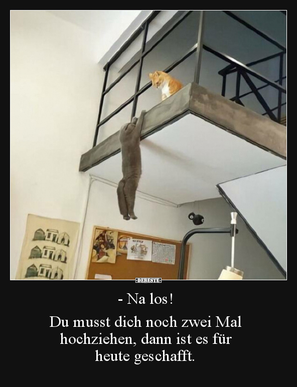 - Na los! Du musst dich noch zwei Mal hochziehen, dann..