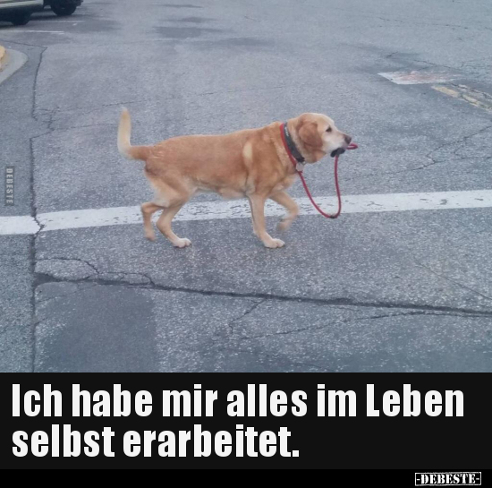 Ich habe mir alles im Leben selbst erarbeitet...