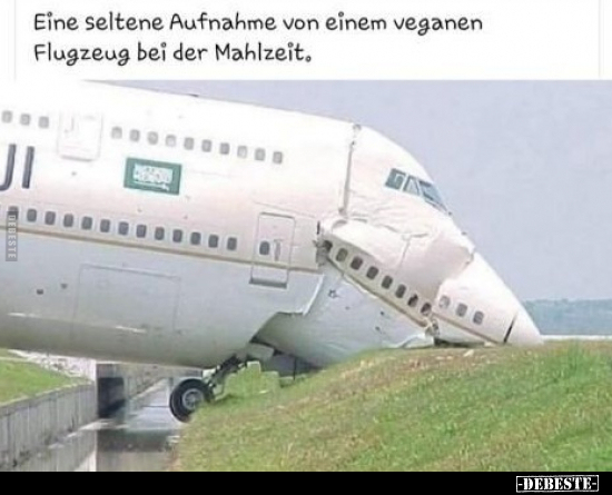 Eine seltene Aufnahme von einem veganen Flugzeug bei der.. - Lustige Bilder | DEBESTE.de