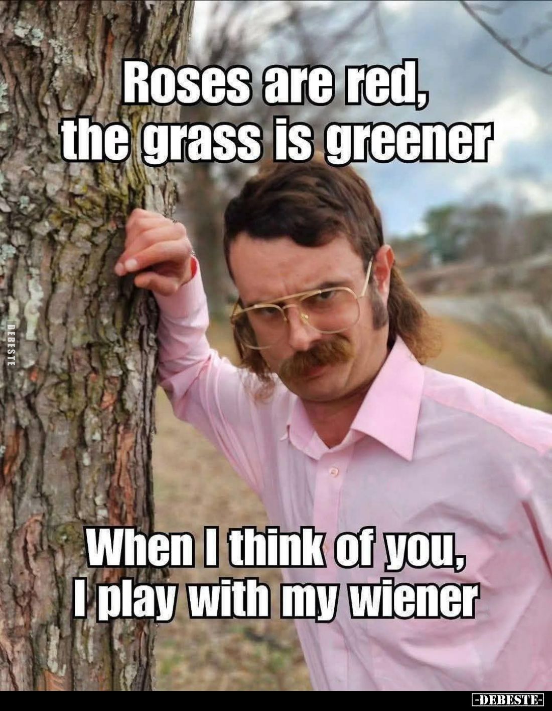 Roses are red, the grass is greener. When I think of you, I play with my wiener.