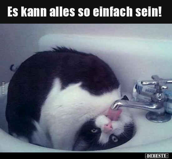 Es kann alles so einfach sein!..