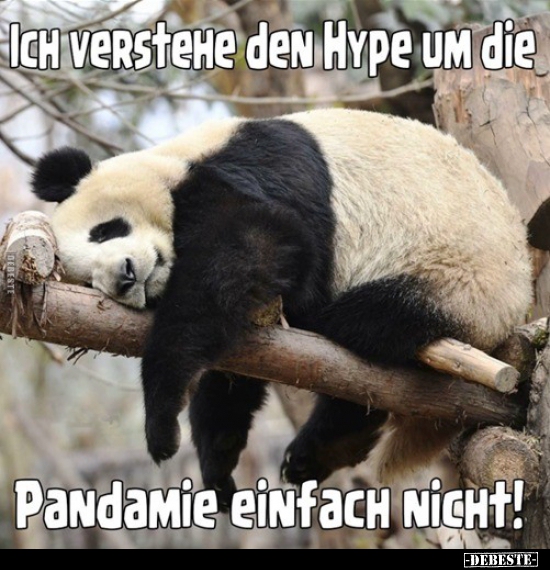 Ich verstehe den Hype um die Pandemie einfach nicht!..