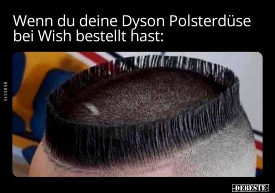 Wenn du deine Dyson Polsterdüse bei Wish bestellt hast.. - Lustige Bilder | DEBESTE.de