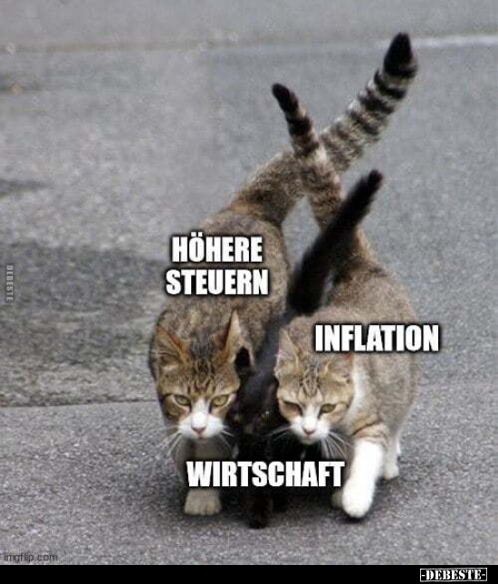 Steuern, Inflation, Steuer, Wirtschaft, Teuer, Schaf