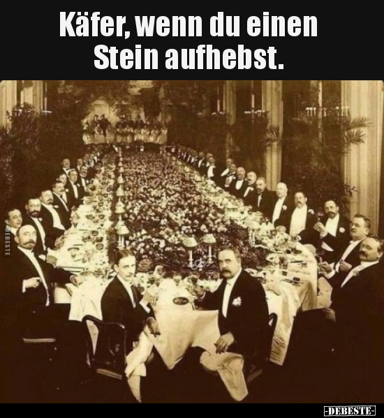 Käfer, wenn du einen Stein aufhebst.