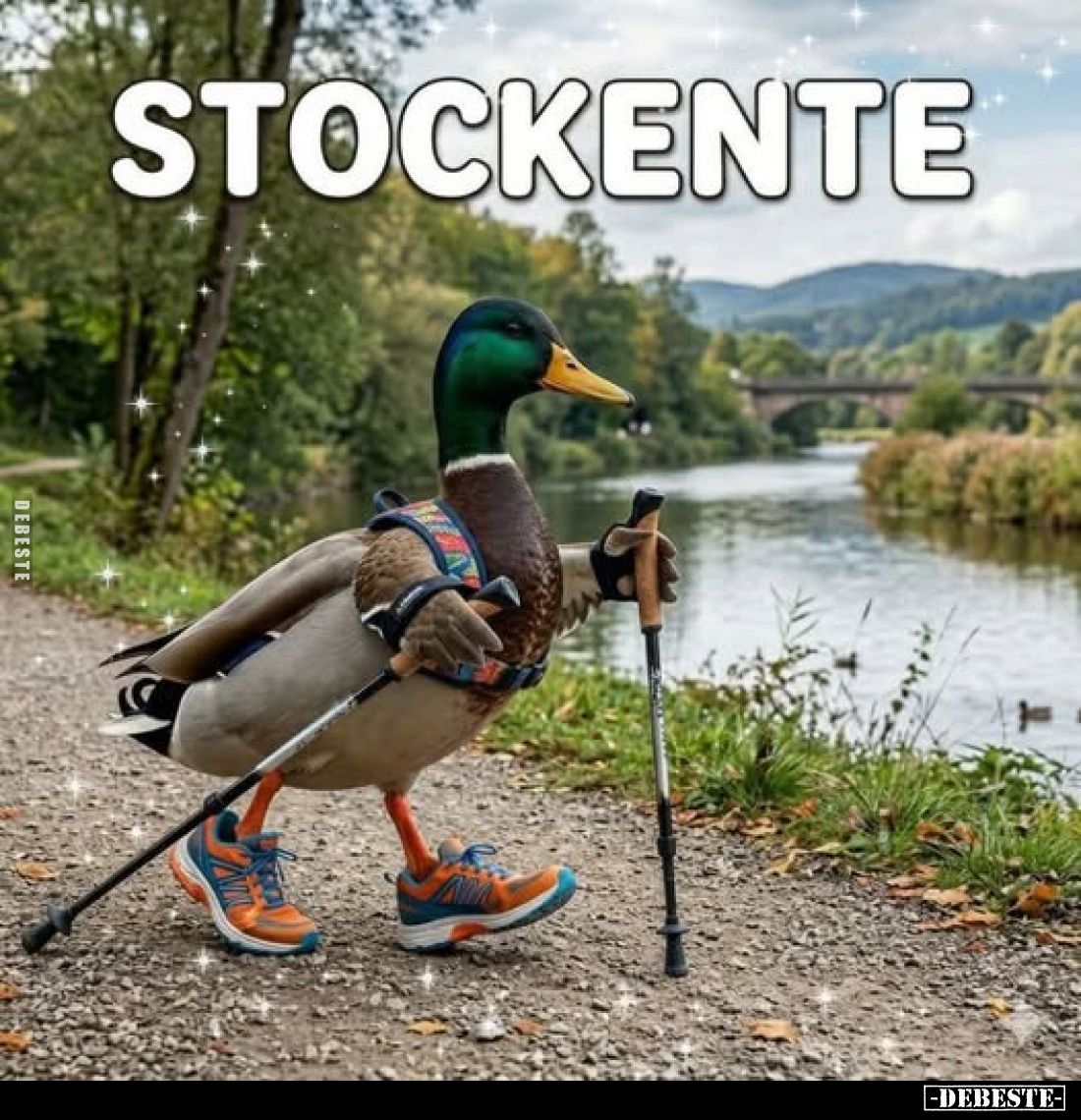 Stockente