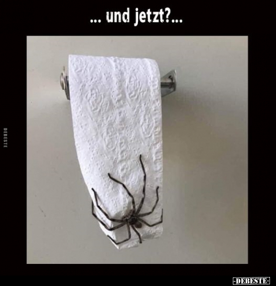 ... und jetzt?