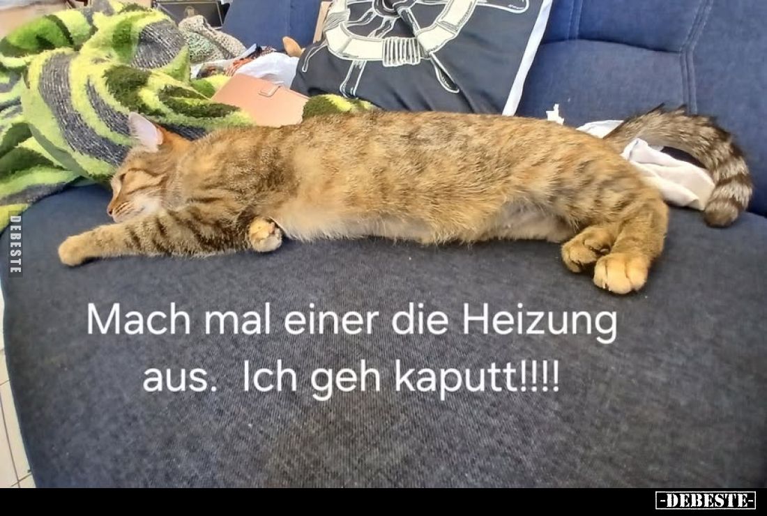 Mach mal einer die Heizung aus. Ich geh kaputt!!!!