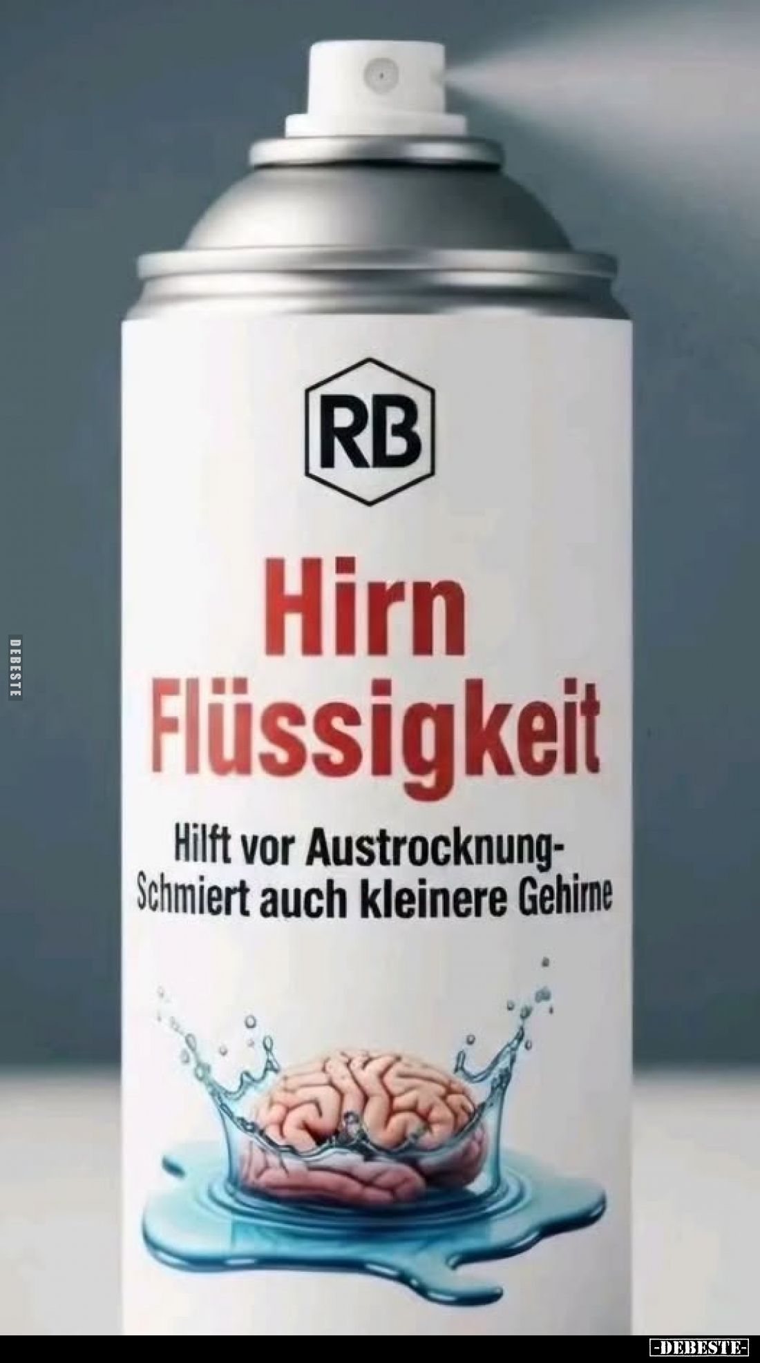 Hirn
Flüssigkeit
-
Hilft vor Austrocknung-
Schmiert auch kleinere Gehirne