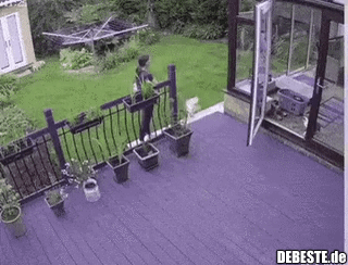 Rein habe ich gesagt..