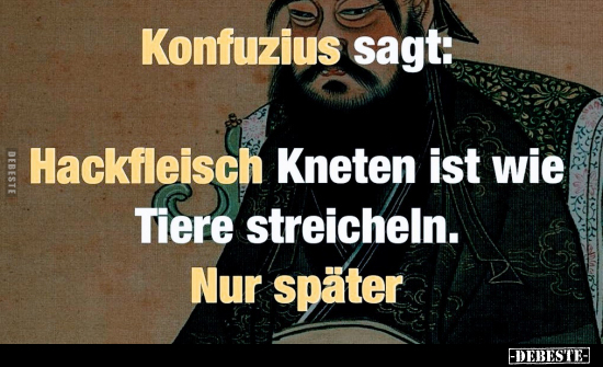 Konfuzius sagt: Hackfleisch Kneten ist wie Tiere.. - Lustige Bilder | DEBESTE.de