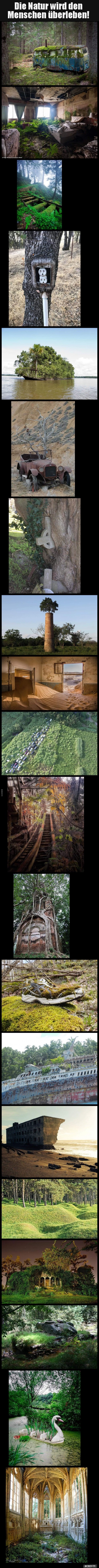 Die Natur wird den Menschen überleben!.. - Lustige Bilder | DEBESTE.de