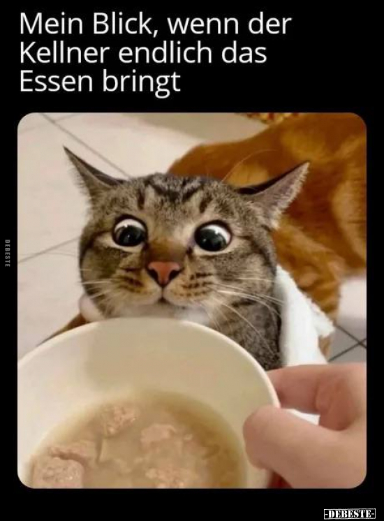 Mein Blick, wenn der Kellner endlich das Essen bringt.. - Lustige Bilder | DEBESTE.de