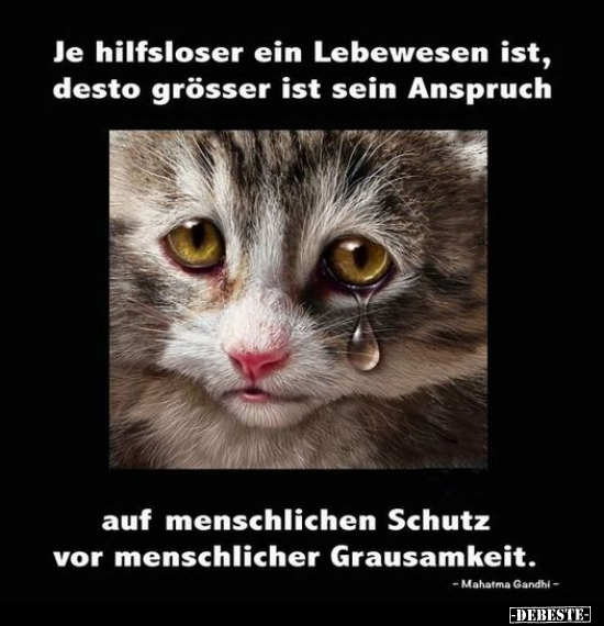 Je hilfsloser ein Lebewesen ist, desto grösser ist sein.. - Lustige Bilder | DEBESTE.de