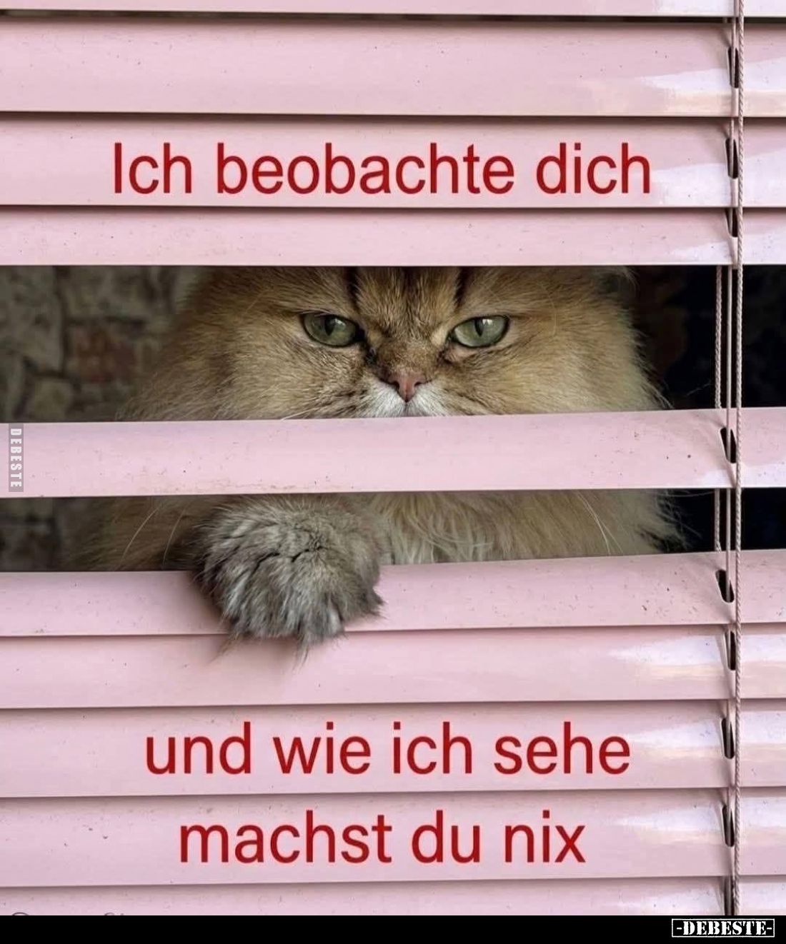 Ich beobachte dich
und wie ich sehe machst du nix.