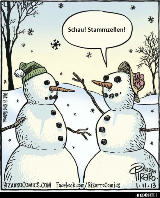 Schau! Stammzellen!..